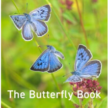 Nature Book Series The Butterfly Book by Andrew Fusek Peters Hardcover