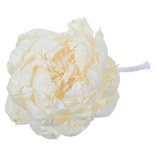 Fleurs De Diffuseur Peony En Papier Pour Aromathérapie