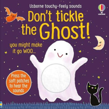 Dont Tickle the Ghost by Sam Taplin Paperback Book
