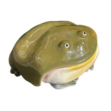 Ugly Frog  Handmade Earphone Case for Airpod 4 Cute Funny Protective Cover Gift for Friends