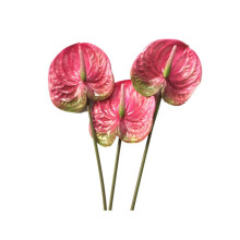 3 Pcs 22.8Inch Artificial Anthurium Flowers for Home Decor Bouquet and Green Leaf and Bridal Wedding Decoration()