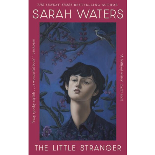Little Stranger by Sarah Waters Paperback Book