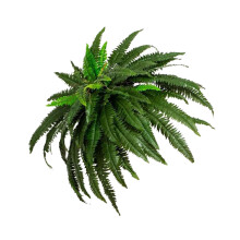 Groene kunstmatige groene varen wanddecoratie-55 bladeren