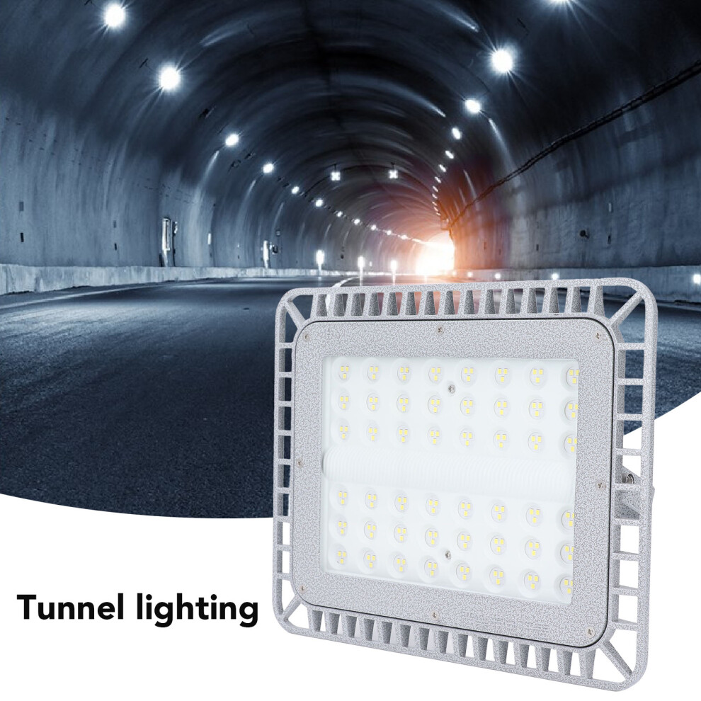 LED Explosion Proof Light 5000K 100W 12000lm