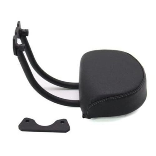 Motorcycle Modified Passenger Rear Backrest Kit for  Sportster S 2021-