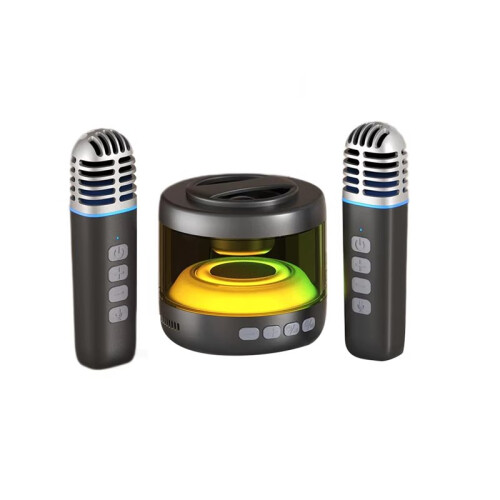 Magnetische Karaoke -Microfoonluidspreker voor Thuisgebruik, Zwart