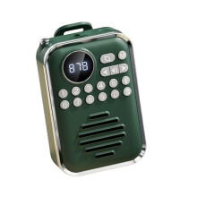 FM Radio Wireless Speaker Portable Player HD Display Digital Radios Recevier Support BT U Disk TF Card B