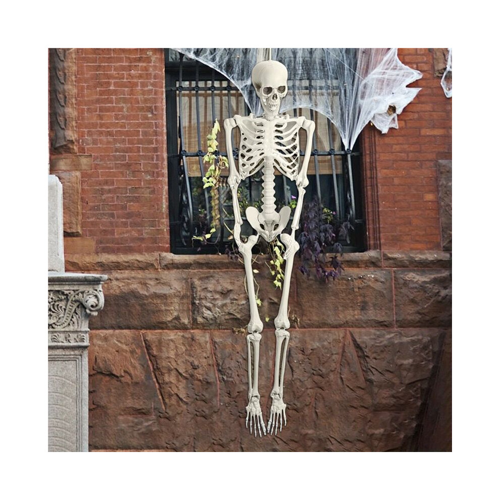 Halloween Skeleton Decoration, Posable Full Body Skeleton With Movable Joints, Spooky Prop For Yard, Garden, Lawn, Patio 4712805738298