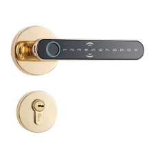 Split Lever Door Lock Keyless  Fingerprint Door Lock Card Tuya APP Security Digital Door Lock Gold