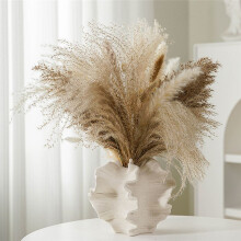 Coral Vase Nordic Art Container for Flower Pampas Grass Vase Living Room Tabletop Centerpieces Decor Creamy-White A