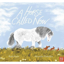 A Horse Called Now by Ruth Doyle Paperback Book