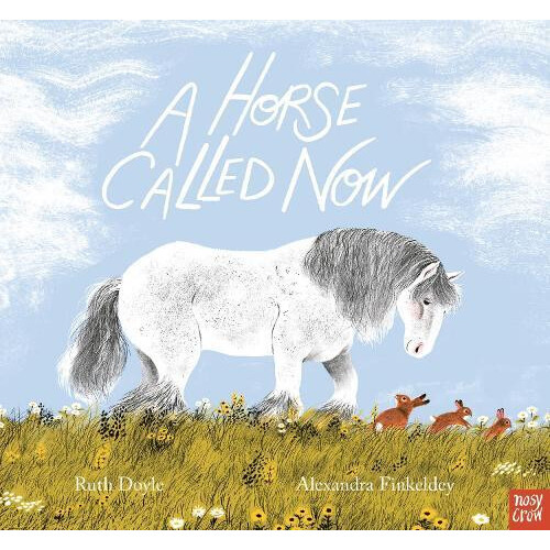 A Horse Called Now by Ruth Doyle Paperback Book