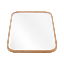 Wall-Mounted Bathroom Adjustable LED Vanity Mirror with Demister