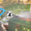 Durable Stainless Steel Bee Smoker for Beekeepers 4
