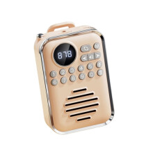 Radio FM Sans Fil Haut-Parleur Portable Lecteur Radios Numériques Récepteur Rechargeable Support BT U Disque Carte TF