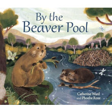 By the Beaver Pool by Catherine Ward Paperback Book