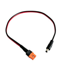 14AWG XT60I Vrouw naar DC5521 Mannelijke Verlengsnoer-30 cm
