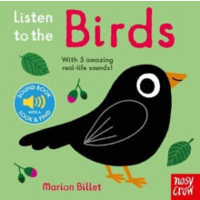 Listen to the Birds Paperback Book