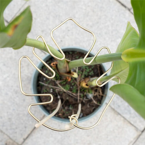 Monstera Stem Support 5pcs Plant Support System for Monstera & Turtle Shell Plants-Quality Leaf Clamps 1