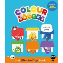 Colourblocks Colour Play A LifttheFlap Book by Colourblocks Other Book