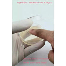 Potato Dextrose Agar Petri Dish Bacterial Petri Dish for Mushrooms, Home Test Kit or Science Fair Project, 30PCS
