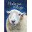 Merlin finds his Magic by Grace Olson Paperback Book 1