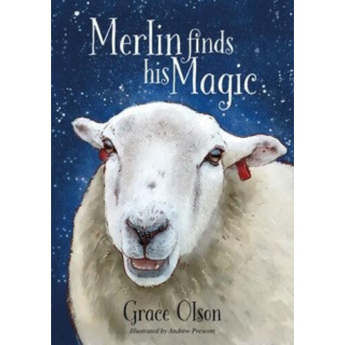Merlin finds his Magic by Grace Olson Paperback Book