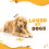 Medium Hard Cheese Chews Yak Chews for Dogs (3Pk) 4