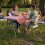 Vida Designs (2 Chairs) Indoor Outdoor Folding Table 5ft & Folding Chairs 4