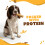 Extra Large Hard Cheese Bone Yak Chew for Dogs 4