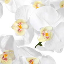 6Pcs 38Inch Artificial Real Contact Orchids Flowers 9Heads Latex Phalaenopsis Stems for DIY Wedding Centerpieces,Kitchen