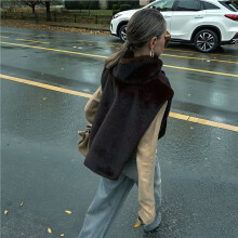 Dames Imitatiebont Vest Mouwloos Winter Fleece Jas Hoge Kraag Gilet Jas Bruin L