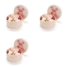 3X Wunderschöne Duftende Rosen-/Nelken-Seifenblume, Seifenblume in Geschenkbox, Geschenk zum Valentinstag/Muttertag Usw.