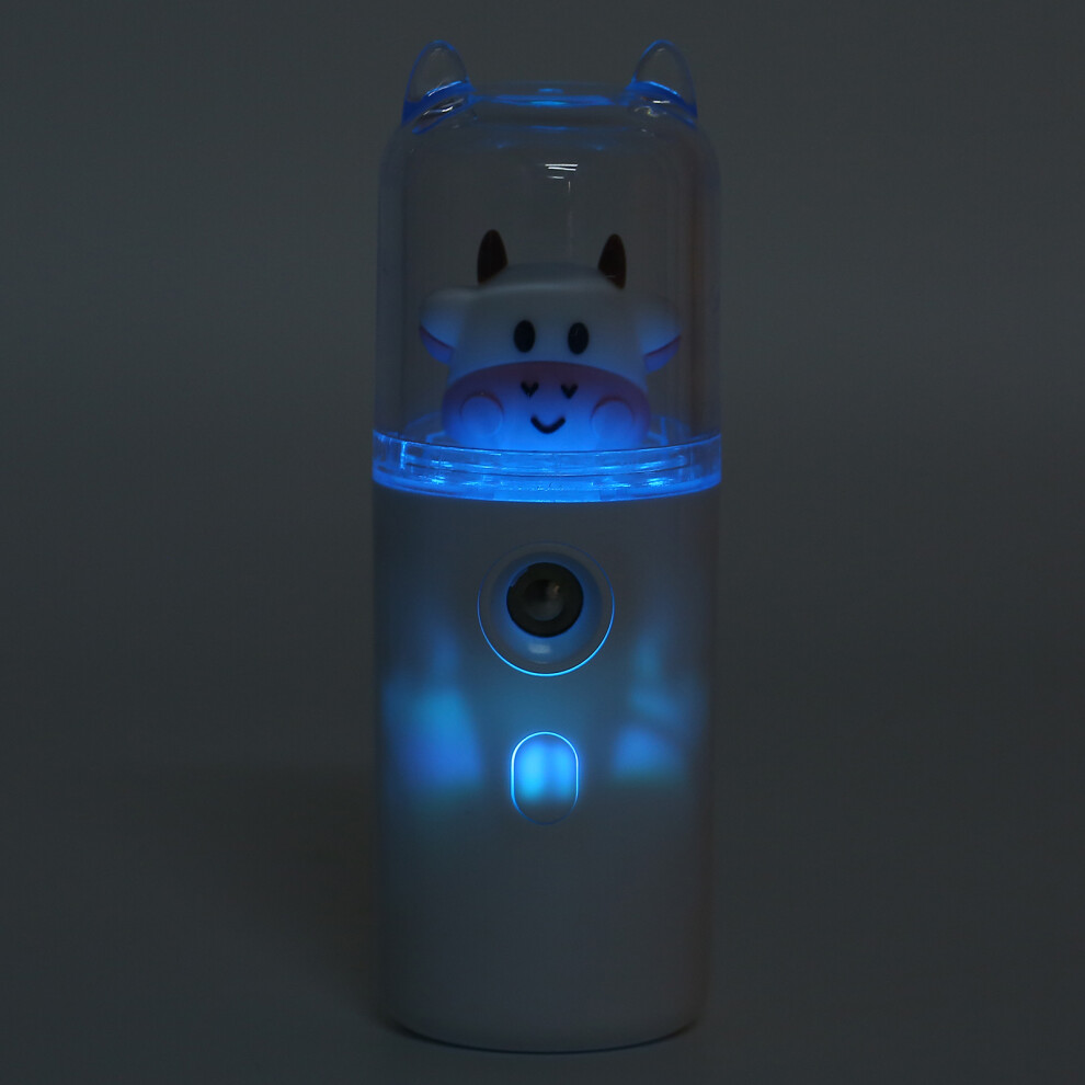 Compact 30ml USB Handheld Mist Sprayer
