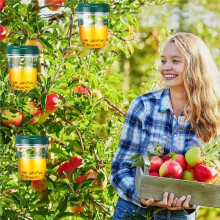 Insektenfalle Aus Kunststoff für Den Außenbereich, Hängender Fruchtfliegenfänger, Wespenfalle, Bienen- und Wespenfänger für Den Garten