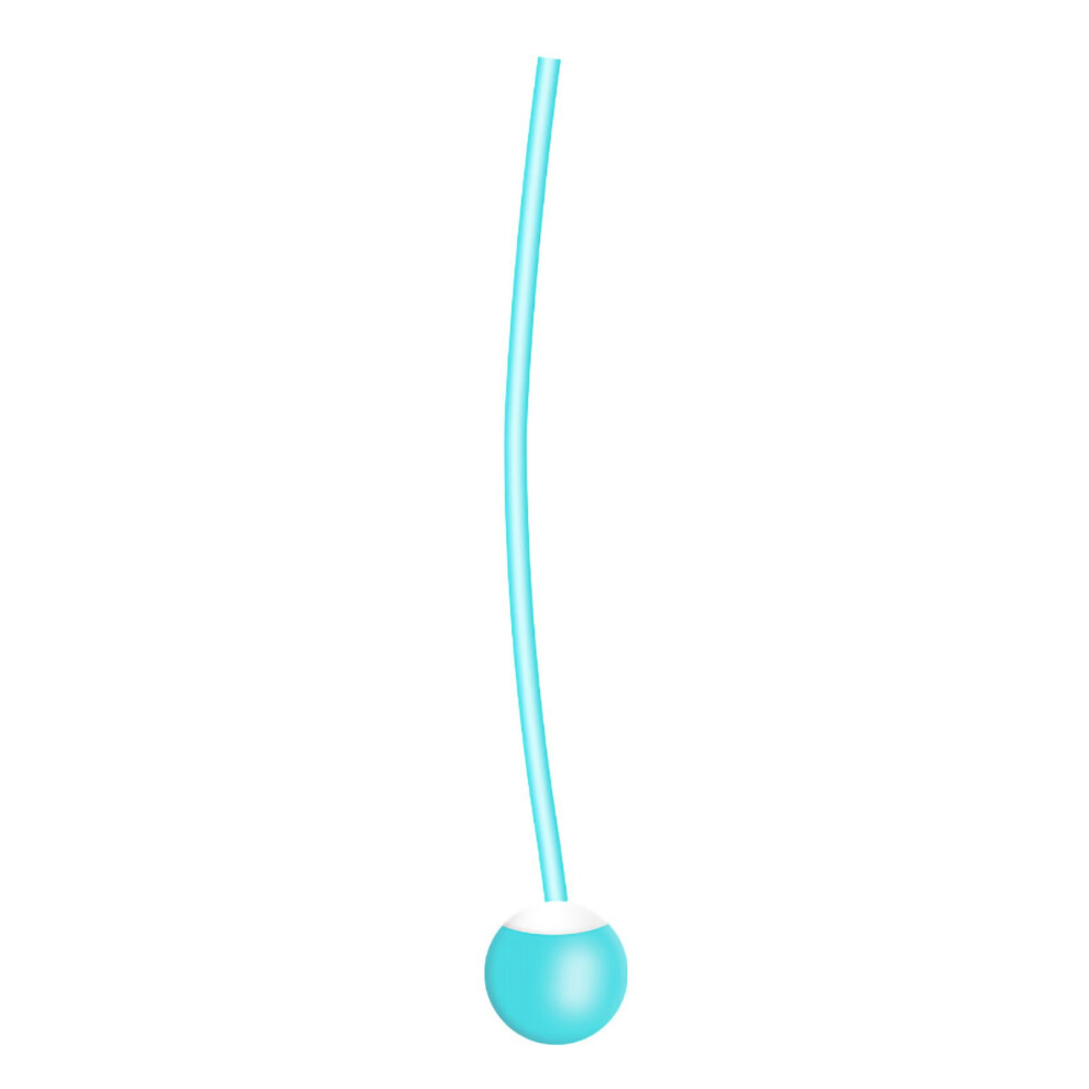 Ropeless Jump Rope PVC Weighted Ball
