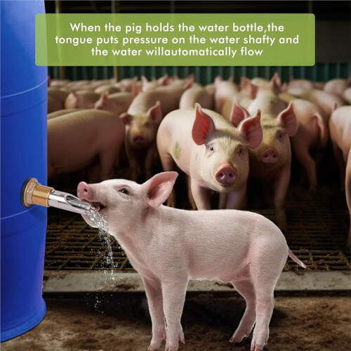 3pcs Automatic Pig Waterer System for Livestock - Stainless Steel Drinker with Brass Connector Kit 2