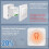 2PCS    16A WiFi Relay Module   Wireless Light  Voice Control for  Home Automation 2