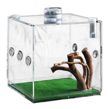 Reptile Container Jumping Spider Growth Enclosure and Small Animal Breeding Box for Turtles Beetles Snails Lizards C