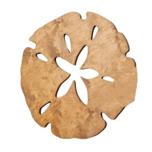 Wanddekoration, Sanddollar, Wanddekoration, Holz, Rund, Sanddollar, Wandkunst, Outdoor-Stranddekoration, Hängedekoration,  S