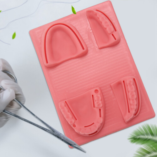 Dental Suture Practice Kit Suture Practice Kit Students and Veterinary Student Suturing Pad,Training Kit 1