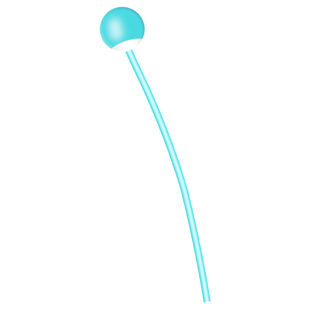 PVC Fitness Ball for Ropeless Rope
