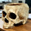 Small Decorative Skull Pot Great For Cultivating dry-White 5