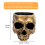 Small Decorative Skull Pot Great For Cultivating dry-White 6
