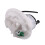 Bränslepumpfilter Bränslefilter C2D28280 för  XJ XF för  LR2 2013-2017 1