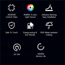 Bande LED COB RGBWC Multicolore avec Puces de ContrĂ´le WS2812B, Protection IP65, Programmable, Longueur 5 M
