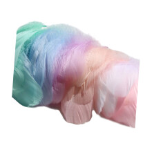 300 Craft Plumage for Holiday Decoration Gift Seasonal-C