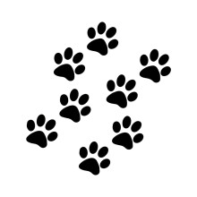 Pack Of 8 Waterproof Cats Paws Print Decals Reflective-Black