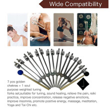 Chakra-Stimmgabel-Set Zur Heilung, 24-Teiliges Chakra-Stimmgabel-Set Aus Silber Zur Meditation