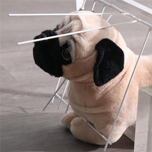 Duvloftsdörr - Enkel Ingång Avtagbar Duvloftsdörr 2